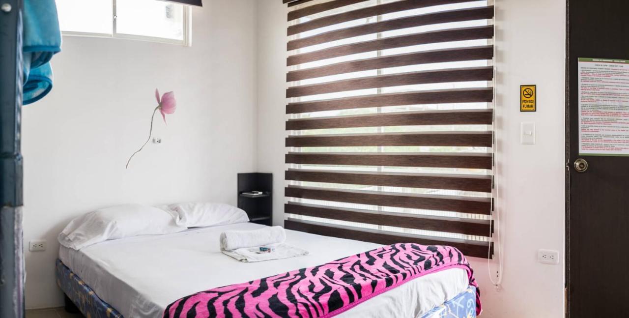Soga Hostal سانتا ماريانيتا المظهر الخارجي الصورة